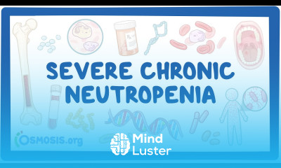 NORD Severe Chronic Neutropenia