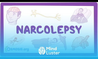 Narcolepsy NORD causes symptoms diagnosis treatment pathology