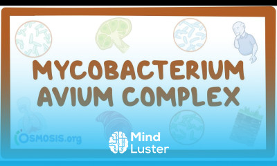 Mycobacterium avium complex causes symptoms diagnosis treatment pathology