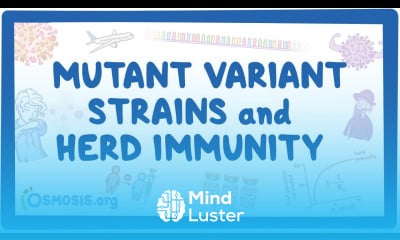 COVID 19 mutant variant strains and herd immunity