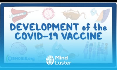 Development of the COVID 19 Vaccine