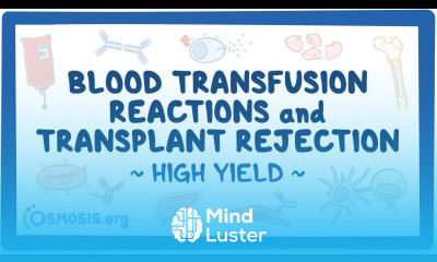 Blood transfusion reactions and transplant rejection Pathology Review