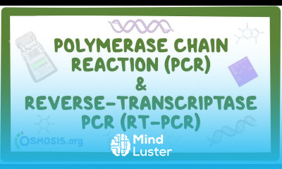 Polymerase chain reaction