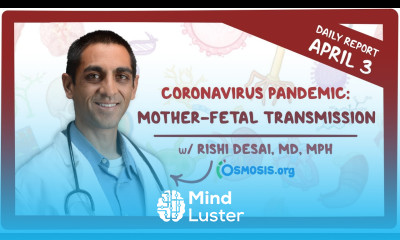 Mother Fetal Transmission Coronavirus Pandemic—Daily Report with Rishi Desai MD MPH