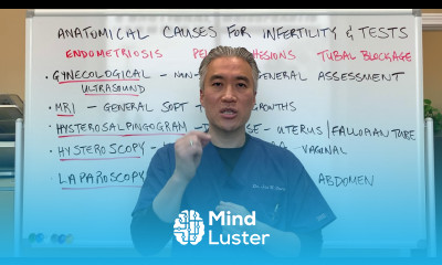 Anatomical Causes For Infertility And Diagnostic Tests for Women