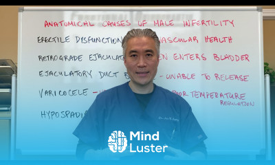 Anatomical Causes of Male Infertility