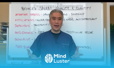 Reduced Sperm Quality and Quantity Infertility