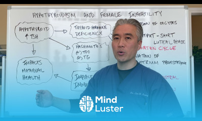 Hypothyroidism Hashimoto s and Female Infertility