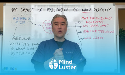 Hypothyroidism Hashimoto s impact on Male Fertility