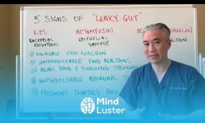 Leaky Gut Dysbiosis Intestinal Permeability Ultimate Comprehensive Guide