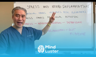 Stress and Neuroinflammation Alzheimer s
