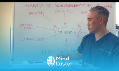 Different mechanisms of Neuro Inflammation Triggers