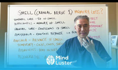 SMELL Cranial Nerve 1 —Memory Loss Alzheimer Dementia