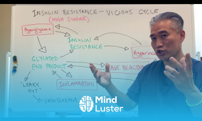 Diabetes and Insulin Resistance The Vicious Cycle