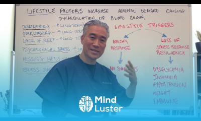 Lifestyle Factors Increase Adrenal Demand Causing Dysregulation of Blood Sugar Diabetes