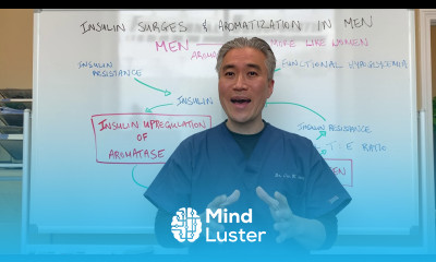 Insulin Surges and Aromatization in Men Male to Female Characteristics