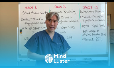 The 3 Stages of Hashimoto s Disease How to distinguish the 3 stages of autoimmune thyroid