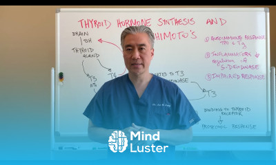 How Hashimoto s affects Thyroid Hormone Synthesis