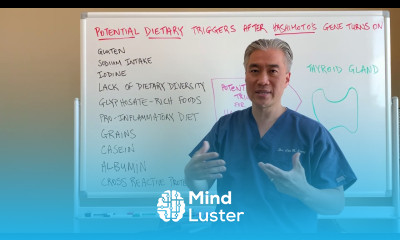 What are the food triggers for Hashimoto s Thyroiditis