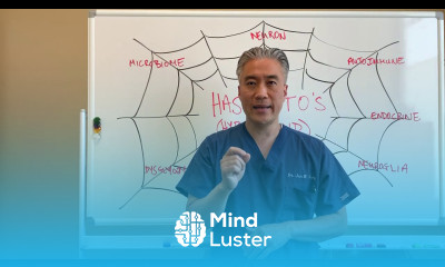 Thyroid Hashimoto s Web of Dysfunction