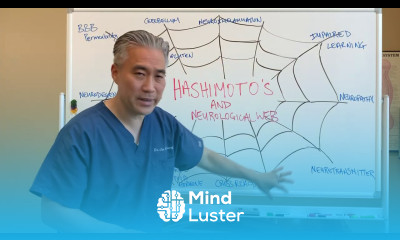 Hashimoto s Thyroiditis and Neurological Web