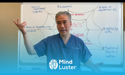 Hashimoto s Thyroiditis and Dysglycemia Blood Sugar Web