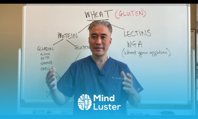 Gluten and Hashimoto s Thyroiditis The untold story