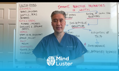 Lectin containing foods and Hashimoto s Thyroiditis Is lectin good for Hashimoto s