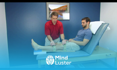 Knee extension OPTIMIZED with the knee extension board