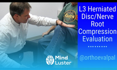 L3 Herniated Disc Nerve Root Compression Evaluation