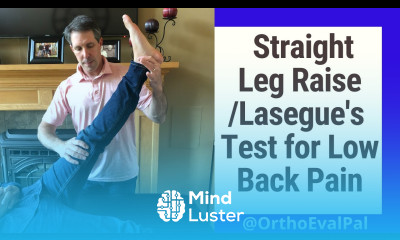 Straight Leg Raise Test Lasegue s Test for Low Back Pain