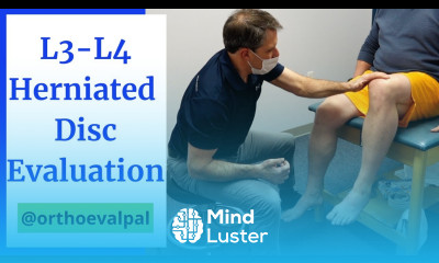 L3 L4 Herniated Disc Evaluation