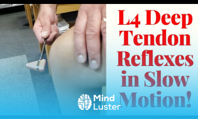 Deep Tendon Reflex in Slow Motion