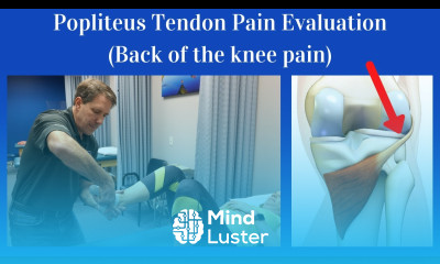 Popliteus Tendon Evaluation Back of the knee pain