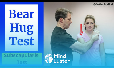Bear Hug Test Subscapularis Tear Special Test