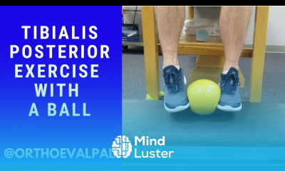Tibialis Posterior Strengthening Exercise with a Ball Ortho Eval Pal