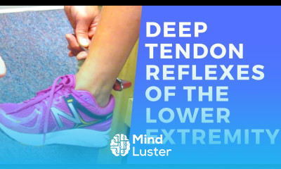 Deep Tendon Reflexes of the Lower Extremities