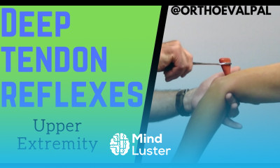 Deep Tendon Reflexes of the Upper Extremities