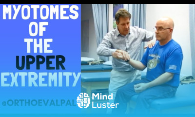 Myotomes of the Upper Extremity with OEP