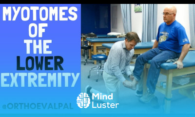 Myotomes of the Lower Extremity with OEP