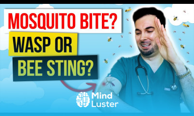 How to get rid of mosquito bites and insect treatment