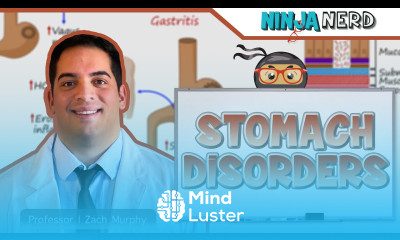 Stomach Disorders Clinical Medicine