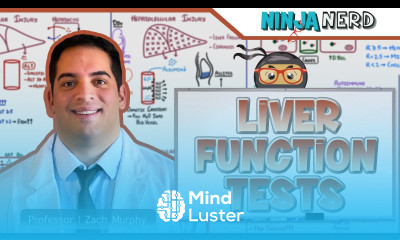 Liver Function Tests LFTs Clinical Medicine