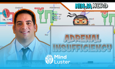 Adrenal Insufficiency Clinical Medicine