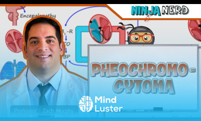 Pheochromocytoma Clinical Medicine