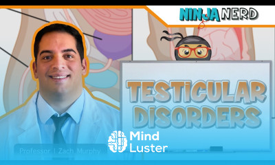 Testicular and Scrotal Disorders Clinical Medicine