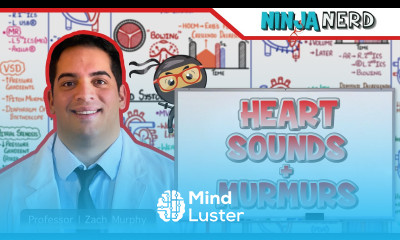 Heart Sounds Murmurs Clinical Medicine