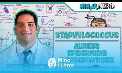 Staphylococcus Aureus Epidermidis Saprophyticus