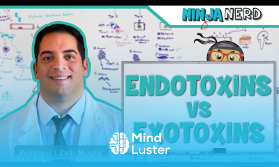 Endotoxins vs Exotoxins