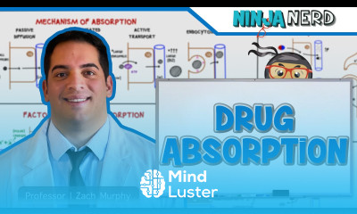 Pharmacokinetics Drug Absorption